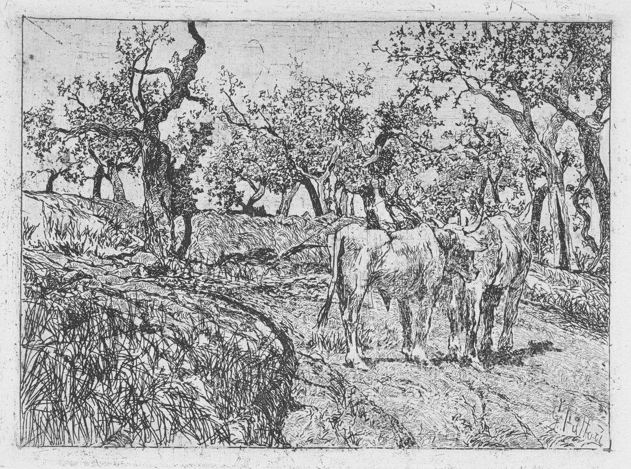 Rinder unter Olivenbäumen von Giovanni Fattori