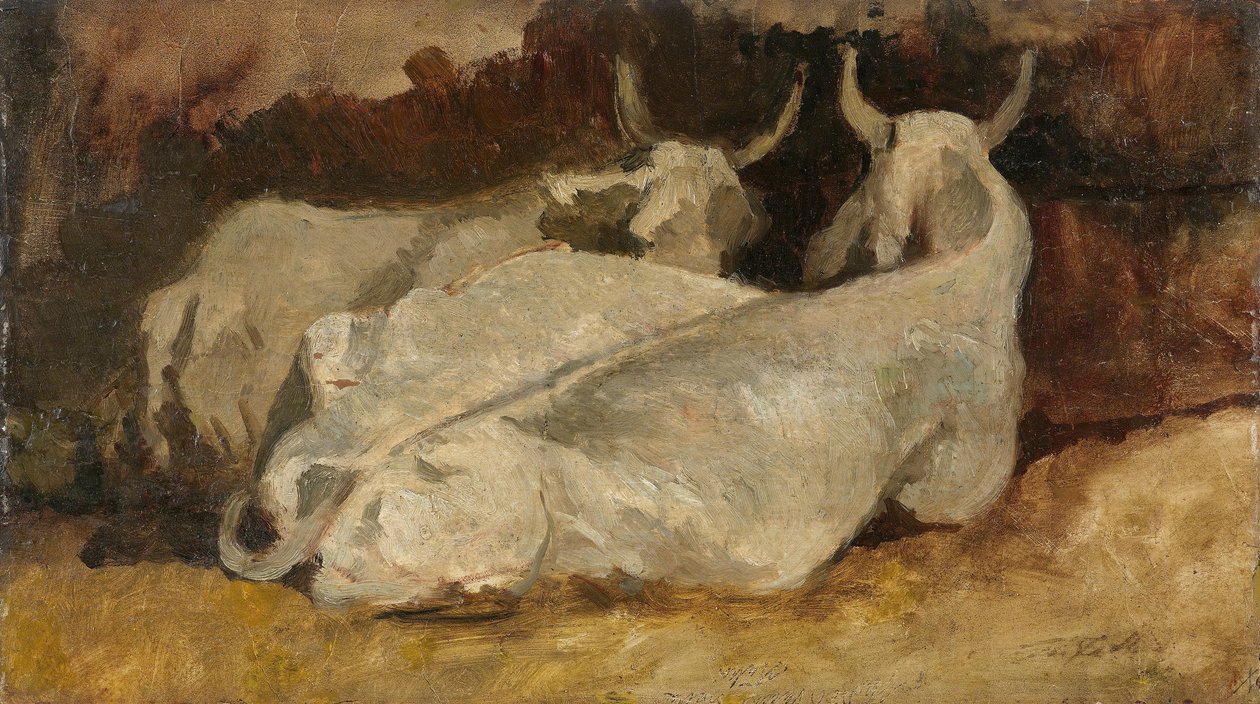 Liegende Kühe von Giovanni Fattori