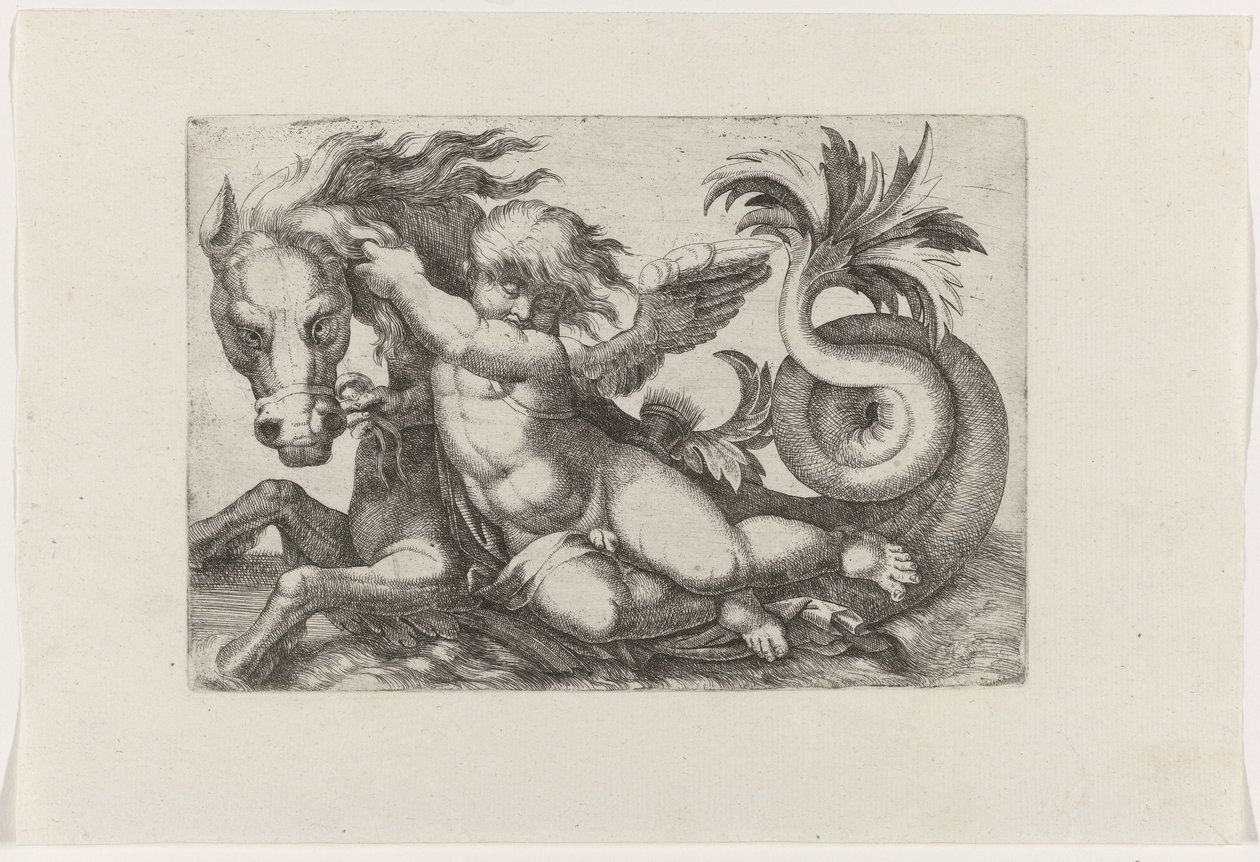 Putto reitet auf Seepferdchen von Giovanni Andrea Maglioli