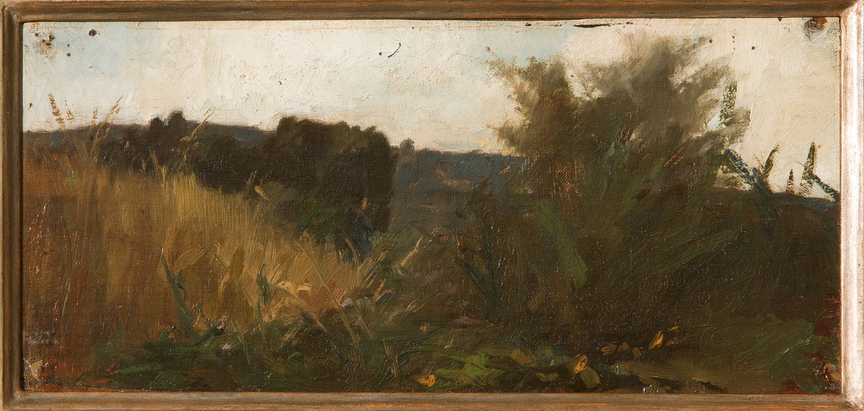 Studie der Vegetation von Giovanni Muzzioli