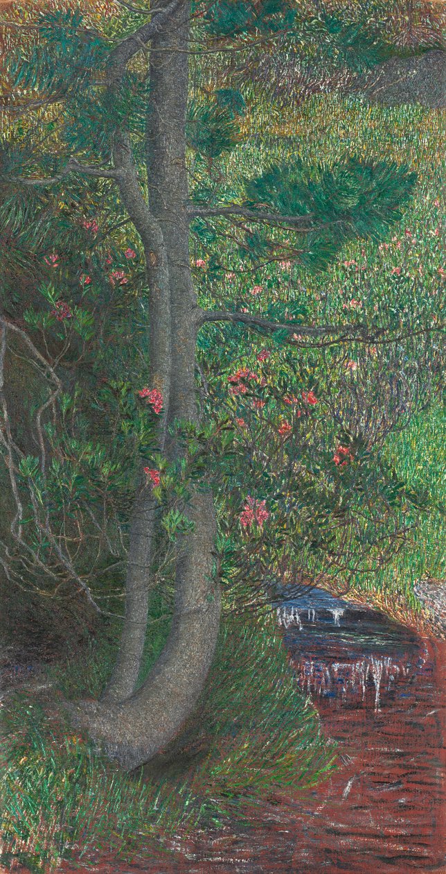 Kiefer, ca. 1897 von Giovanni Segantini