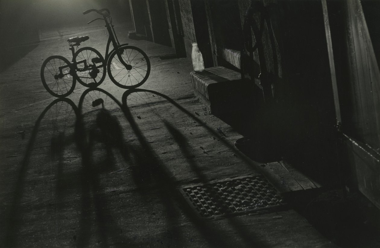 Silhouette eines Dreirads bei Nacht von Godfrey Macdominic
