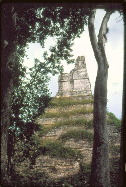 Tempel der Inschriften, ca. 700 n. Chr. von Guatemalan School