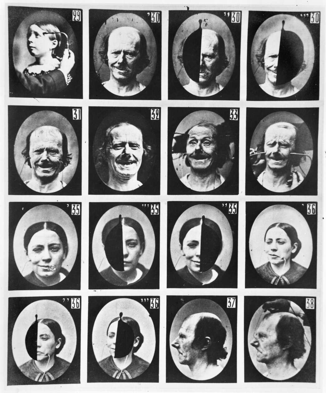 Physiognomische Studien, aus 