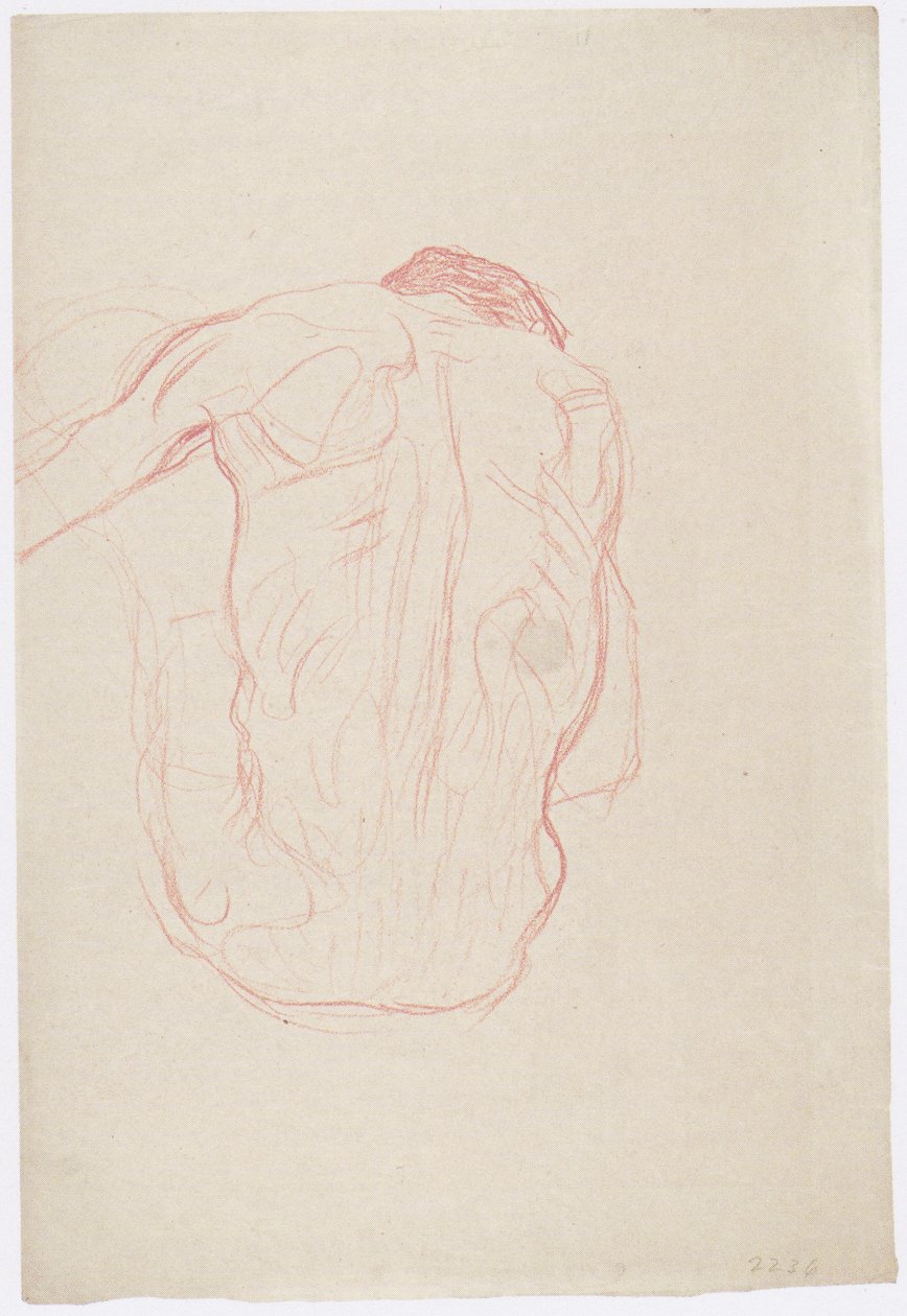 Sitzender männlicher Rückenakt von Gustav Klimt