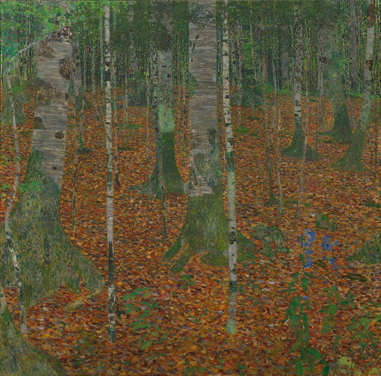 Birkenwald, 1903 von Gustav Klimt