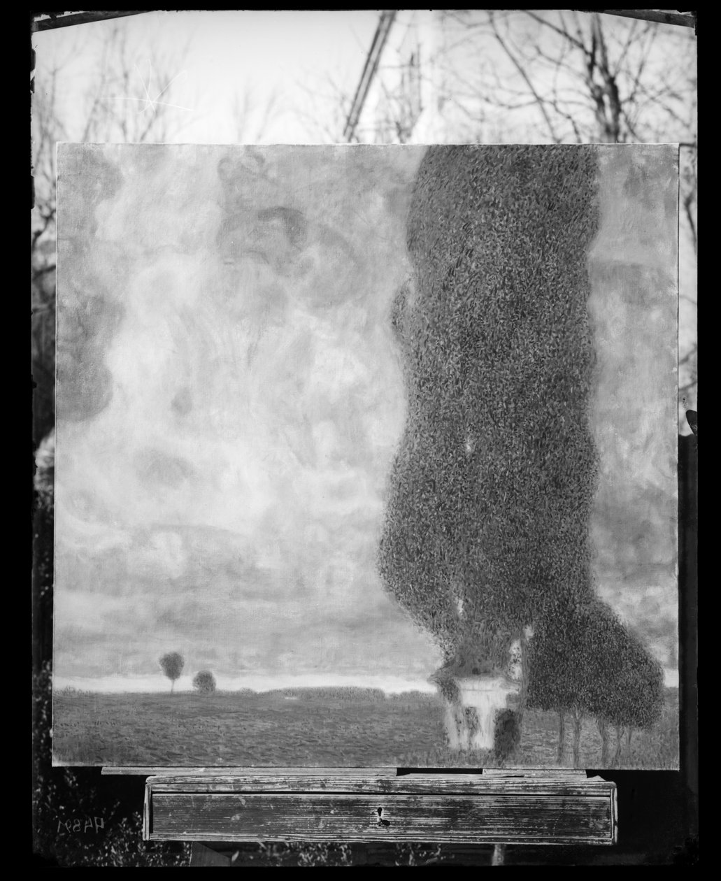 Die Baumwollhütte II (aufsteigender Sturm) von Gustav Klimt