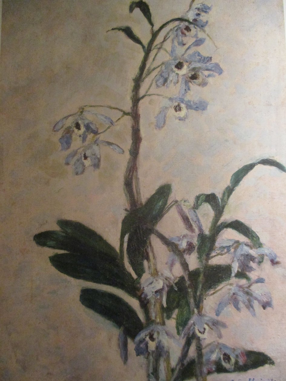 Die Orchideen von Gustave Caillebotte