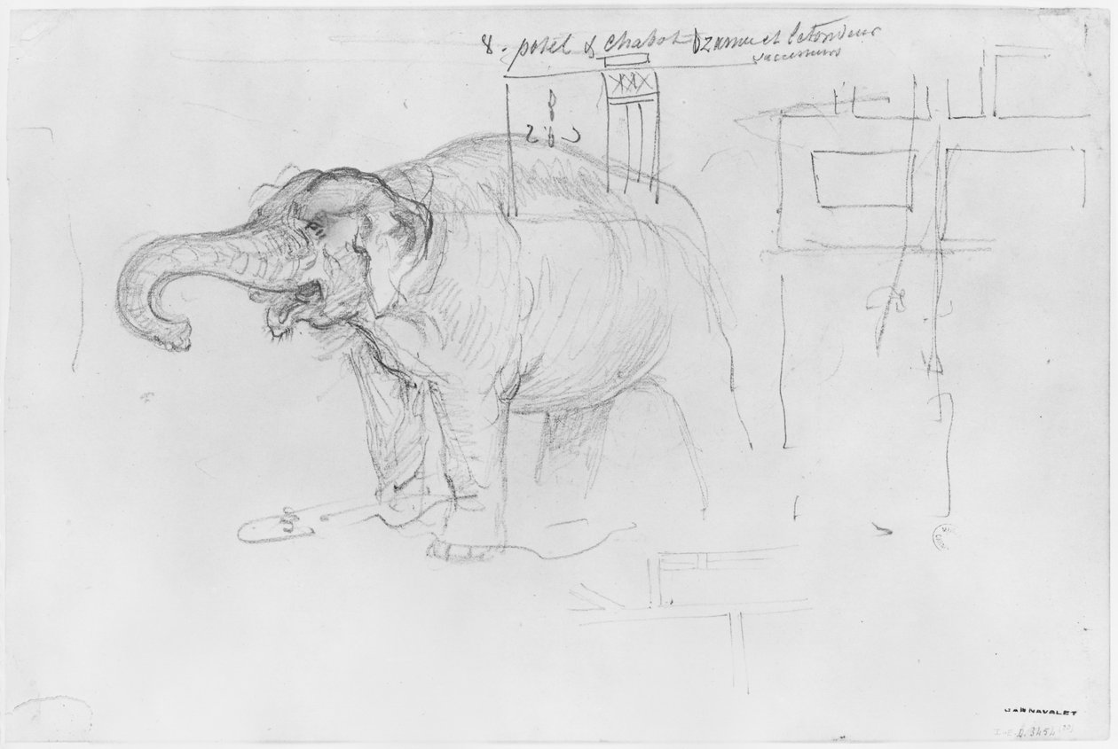 Album der Belagerung von Paris, Elefant von Gustave Dore
