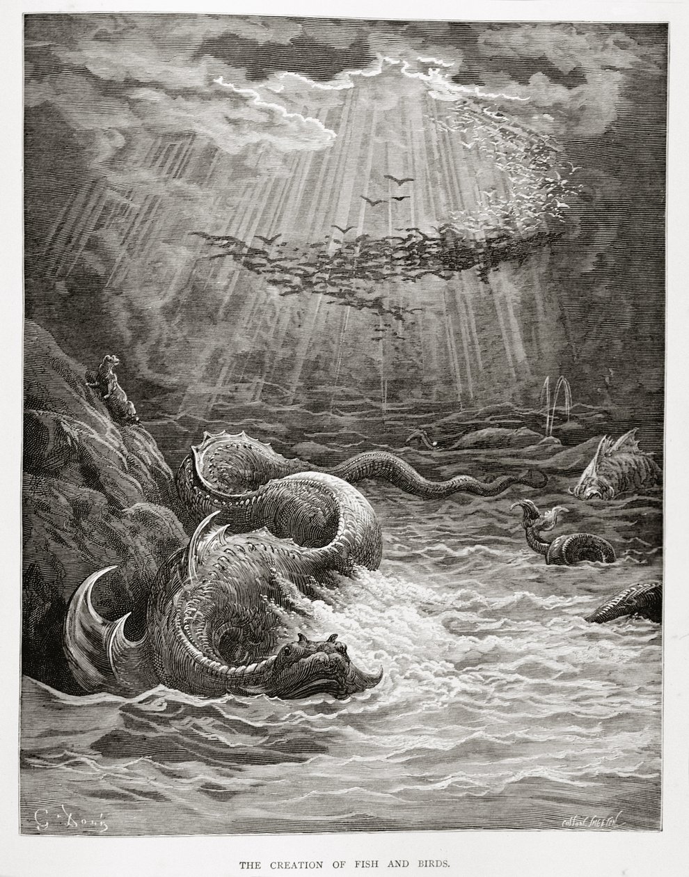 Die Erschaffung von Fischen und Vögeln, aus 
