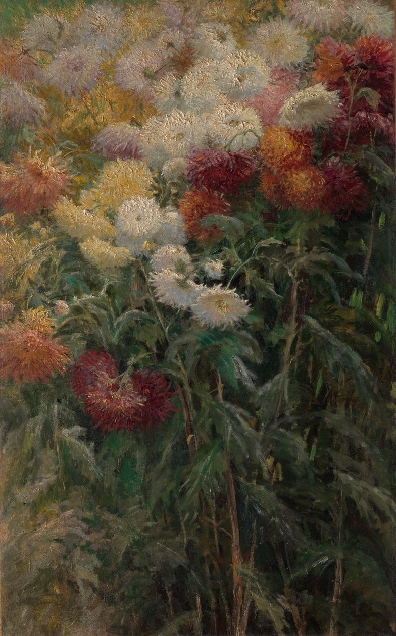 Chrysanthemen im Garten von Petit-Gennevilliers von Gustave Caillebotte