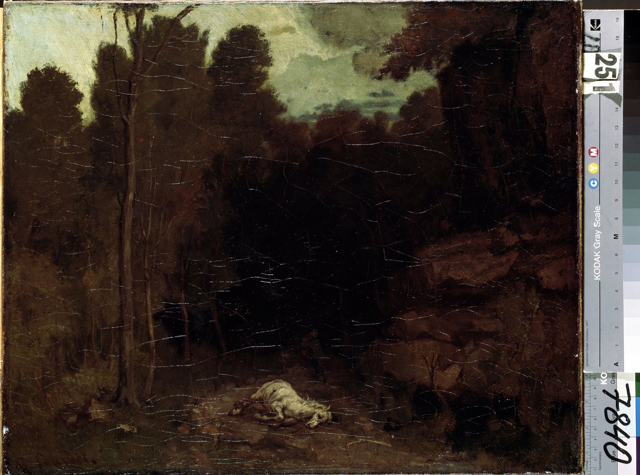 Unbekanntes Bild von Gustave Courbet