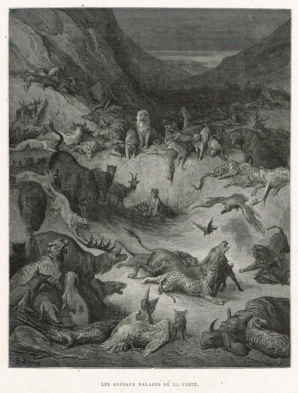 Die kranken Tiere der Pest von Gustave Dore