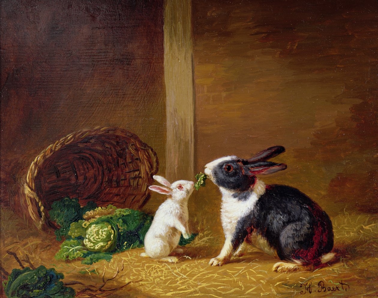 Zwei Kaninchen von H. Baert