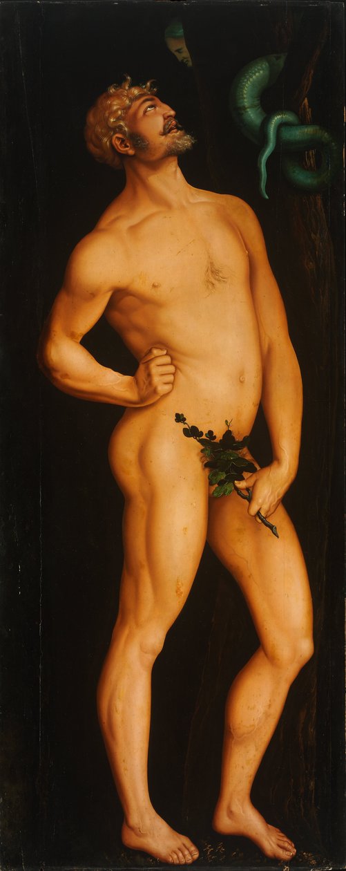 Adam von Hans Baldung Grien