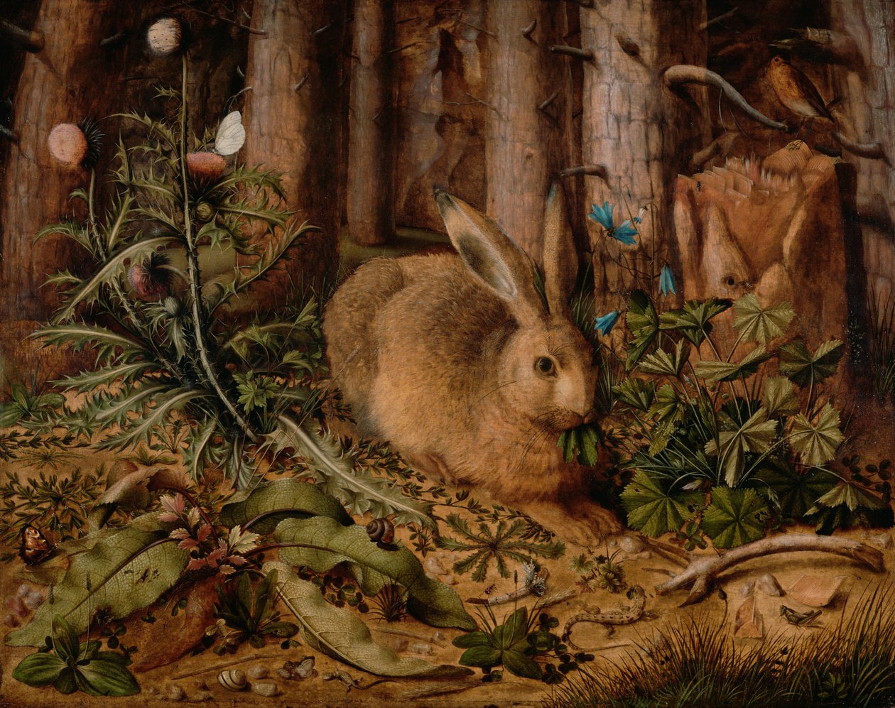 Ein Hase im Wald von Hans Hoffmann