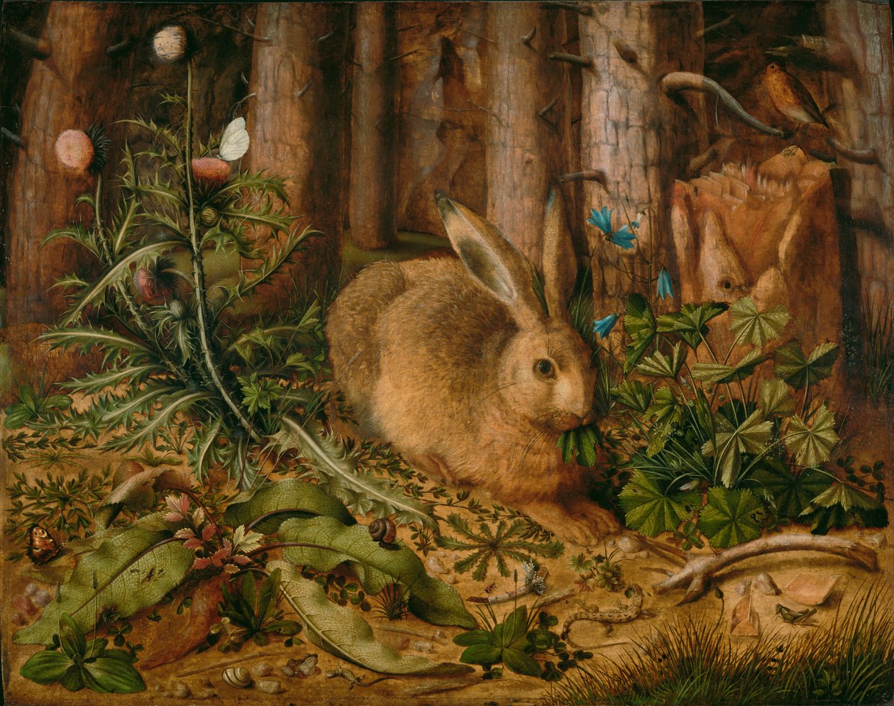 Ein Hase im Wald von Hans Hoffmann