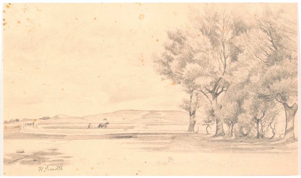 Landschaft mit Ackerland; rechts hohe Bäume von Hans Smidth