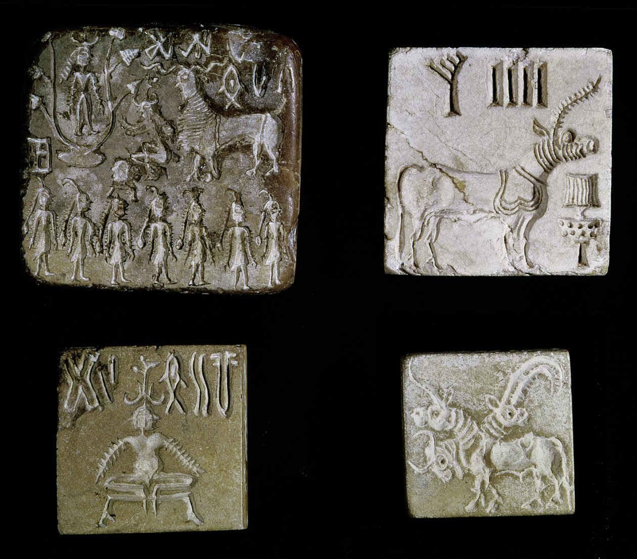 Vier Siegel mit mythologischen Tieren, aus Mohenjo-Daro, Industal, Pakistan, 3000-1500 v. Chr. von Harappan