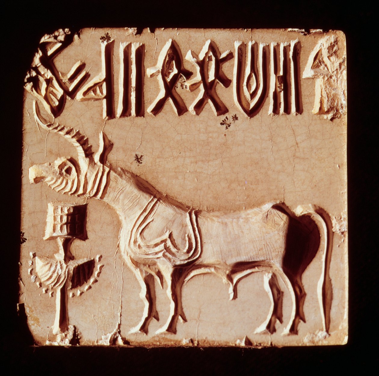 Siegel mit einem mythologischen Tier und piktografischen Symbolen, aus Mohenjo-Daro, Industal, Pakistan, 3000-1500 v. Chr. von Harappan