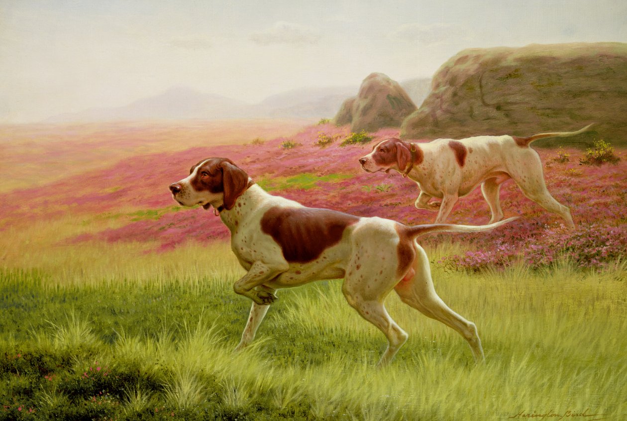 Zeiger in einer Landschaft, 19. Jahrhundert von Harrington Bird