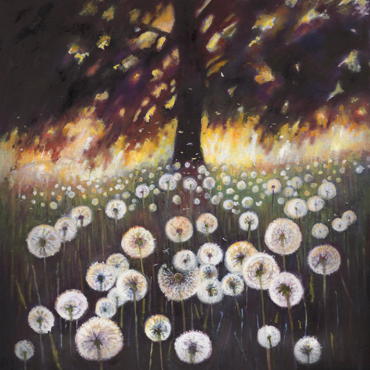 Feld der Träume, 2015 von Helen White