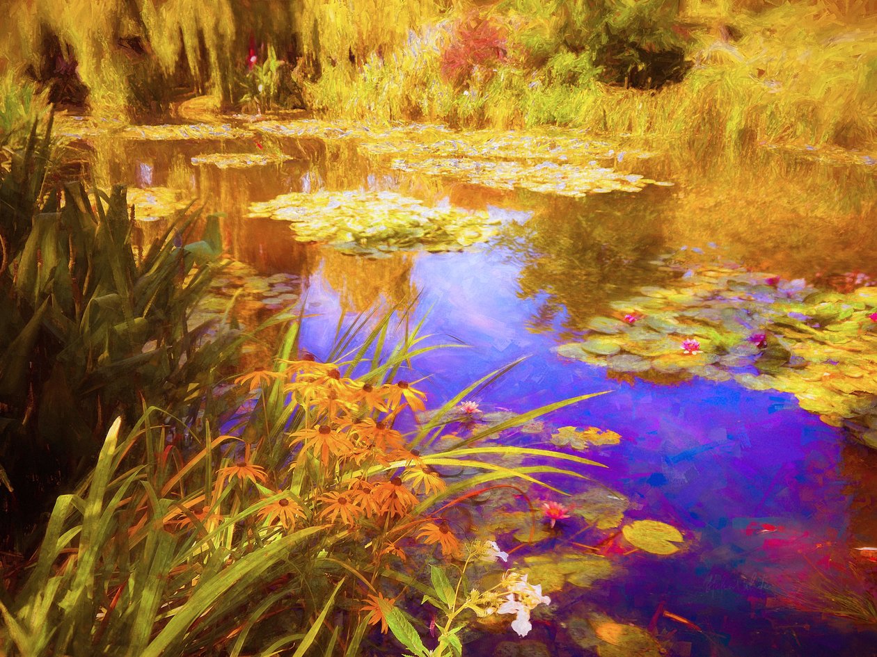 Giverny Seerosen, 2019 von Helen White