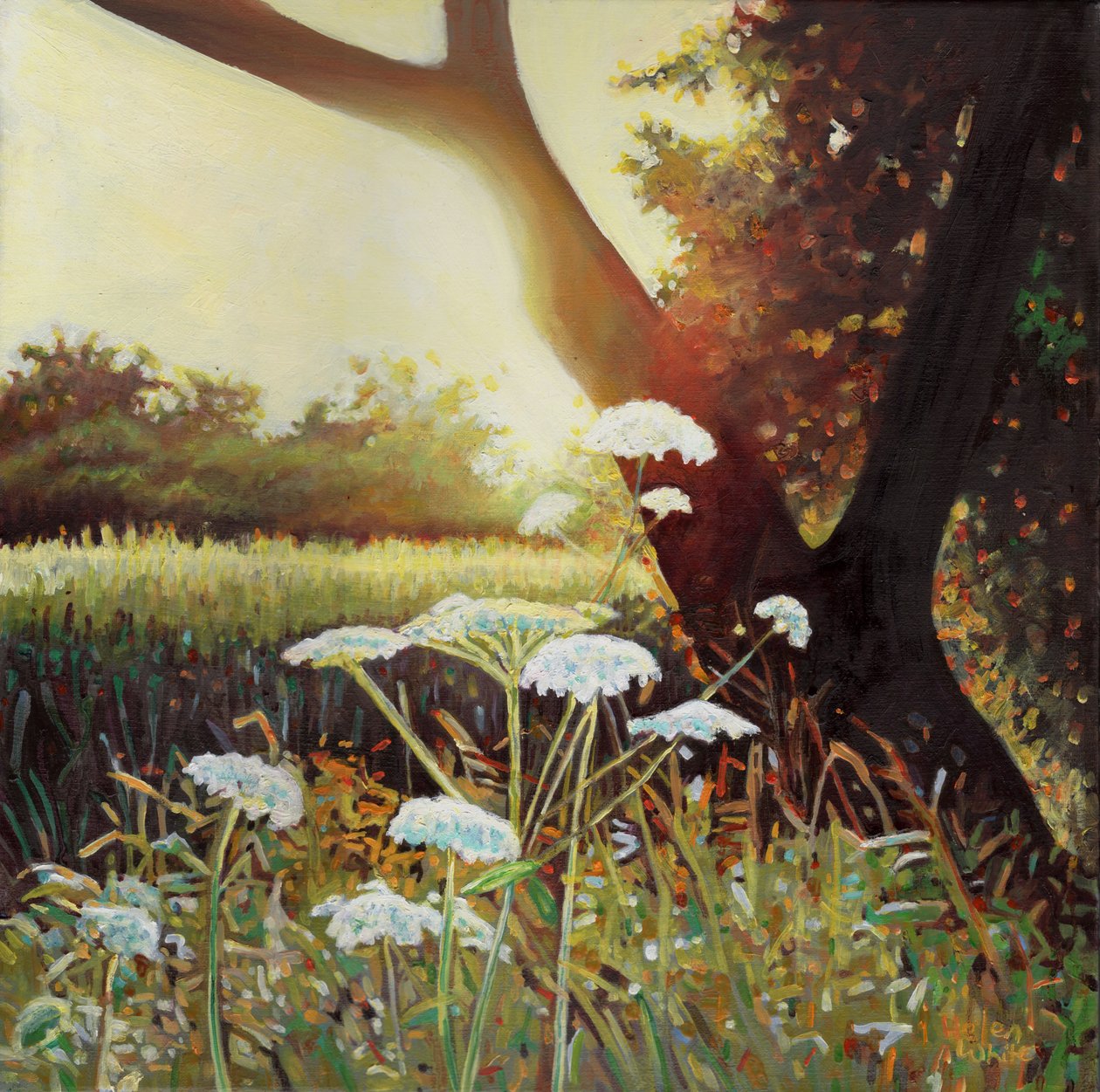 Goldene Hecke I, 2014 von Helen White
