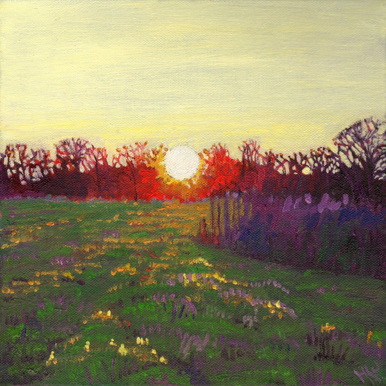 Pfad des Lichts, 2013 von Helen White