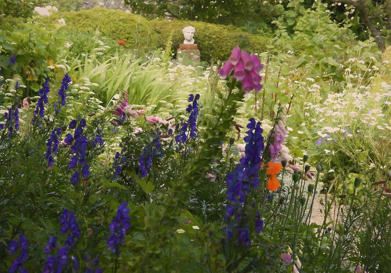 Sommerfülle, 2018 von Helen White