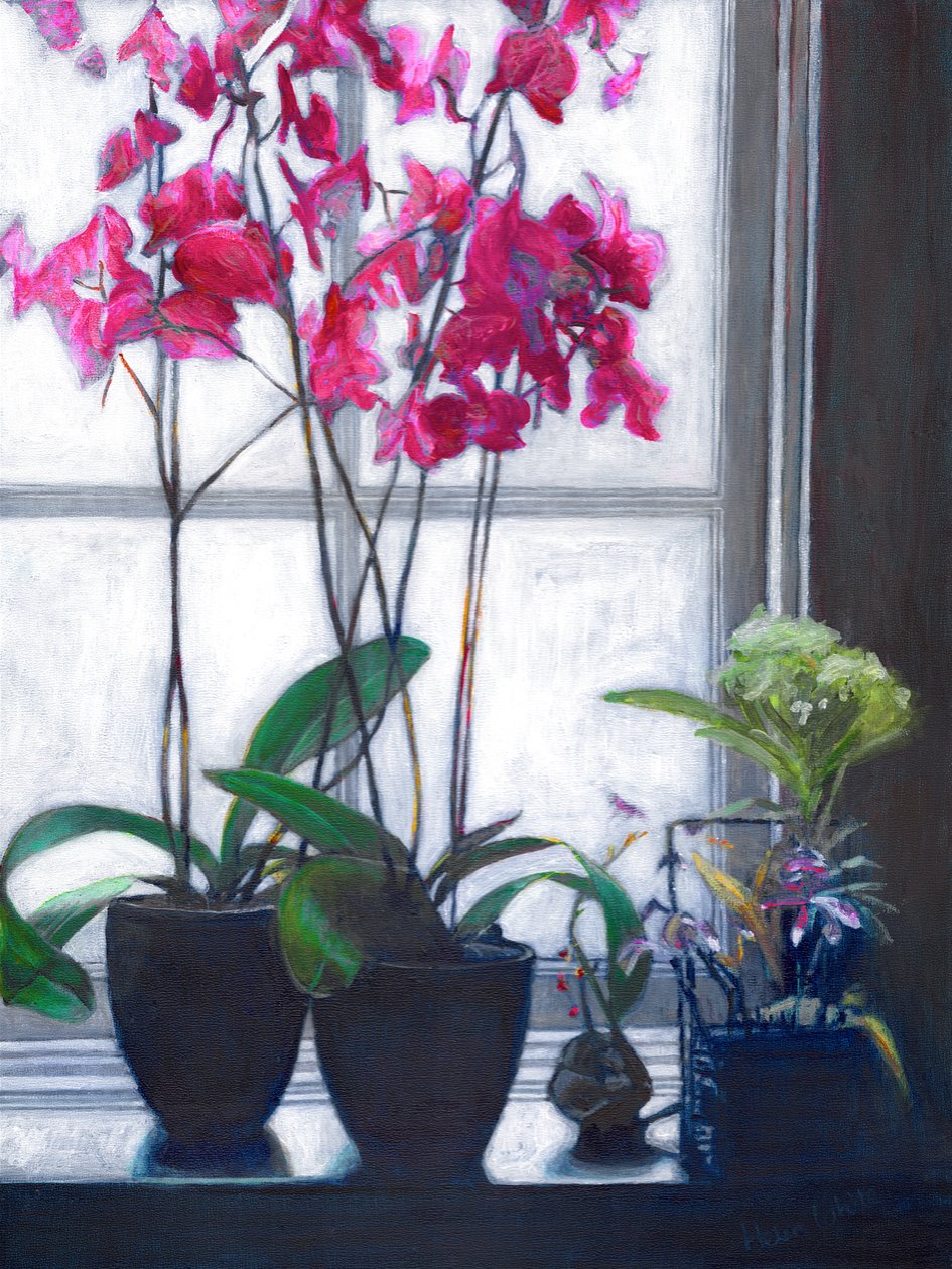 Amsterdamer Fenster, 2021 von Helen White