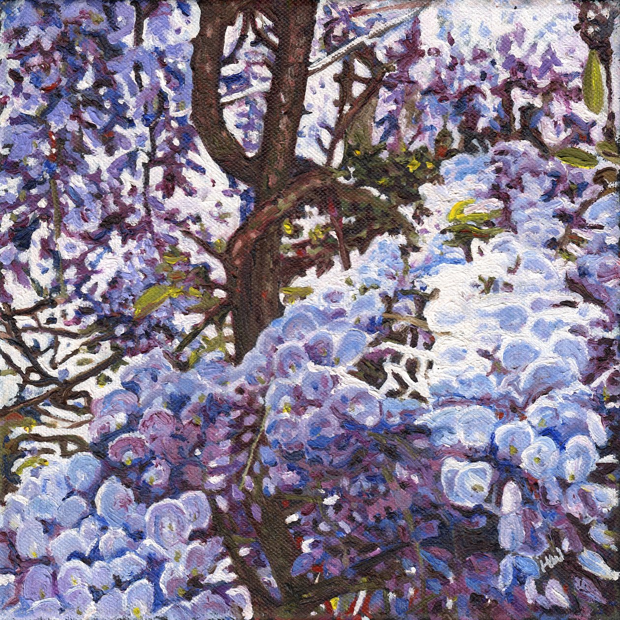 Blaue Wisteria von Helen White