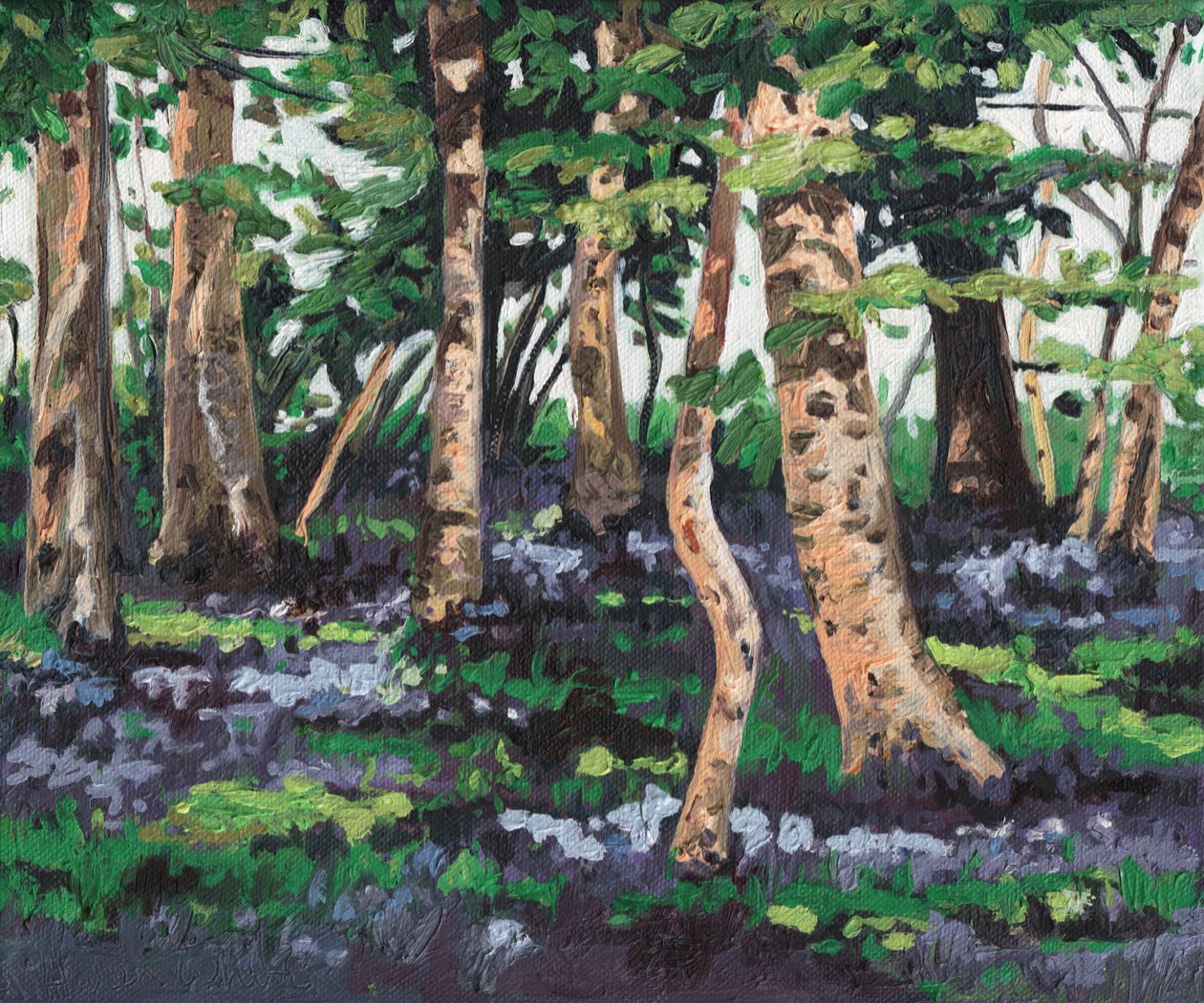 Blaue Glockenblumen, 2009 von Helen White