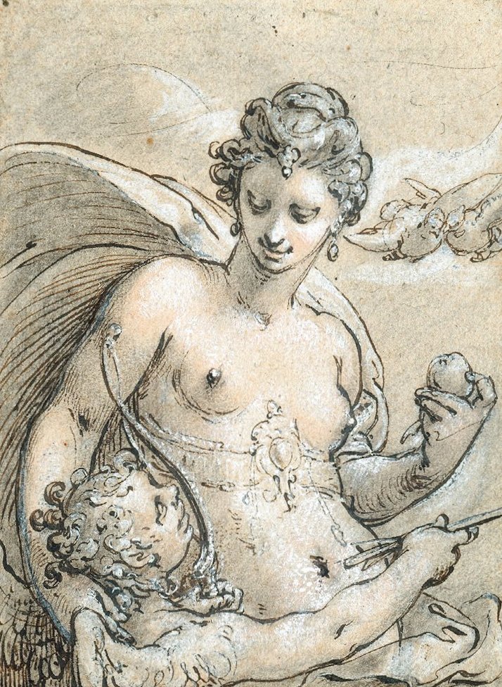 Venus von Hendrik Goltzius