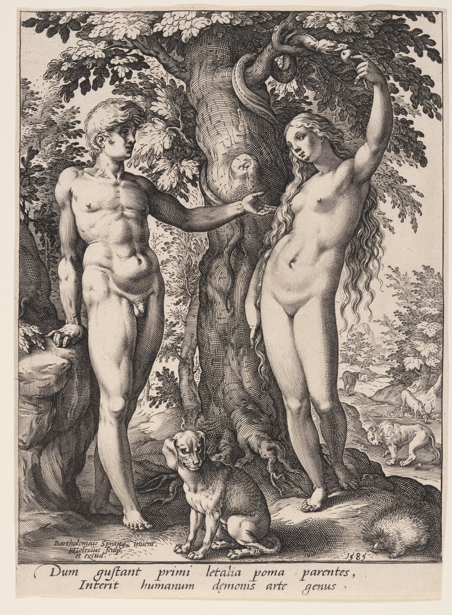 Der Sündenfall von Hendrick Goltzius