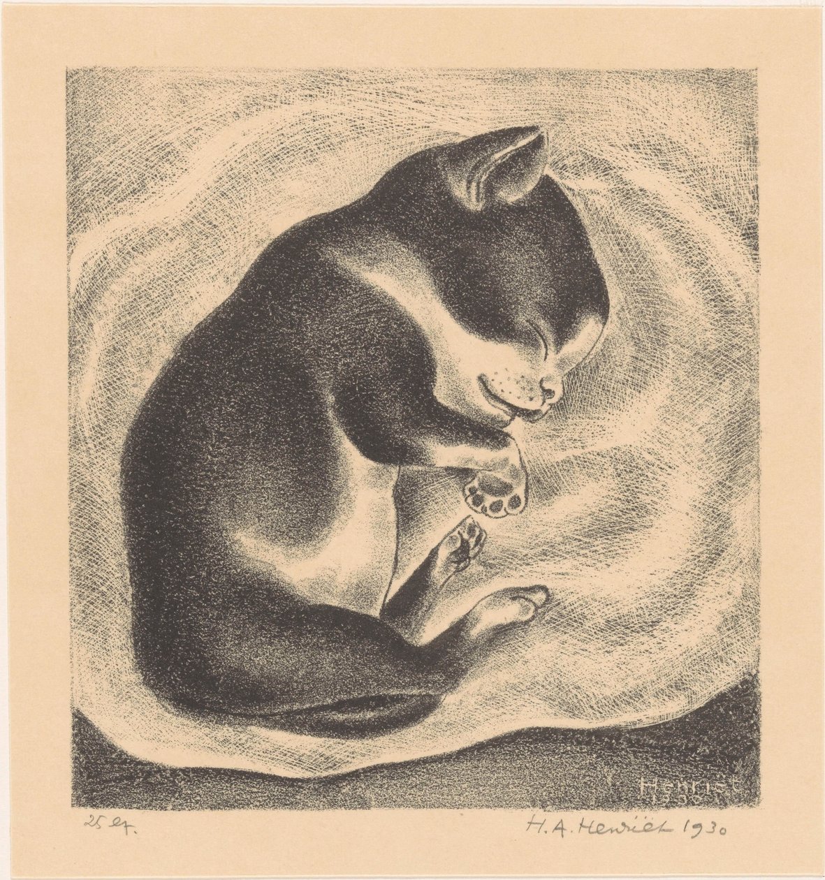 Schlafende junge Katze von Henk Henriët (signed by artist)