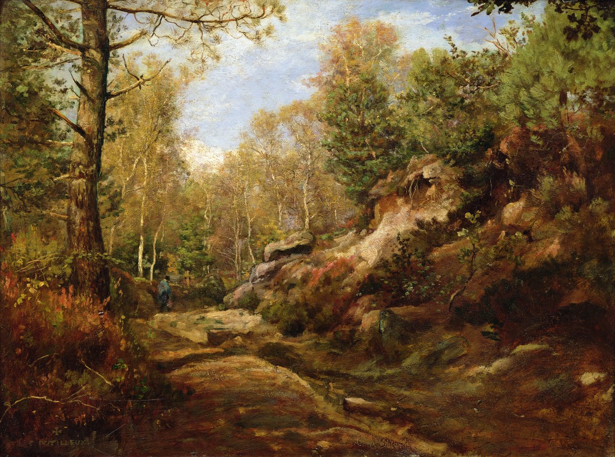 Kiefern und Birken oder Der Wald von Fontainebleau, ca.1855-57 von Henri Joseph Constant Dutilleux