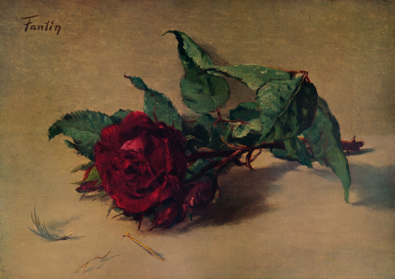 Rote Rose, um 1864, 1938 von Ignace Henri Jean Fantin Latour