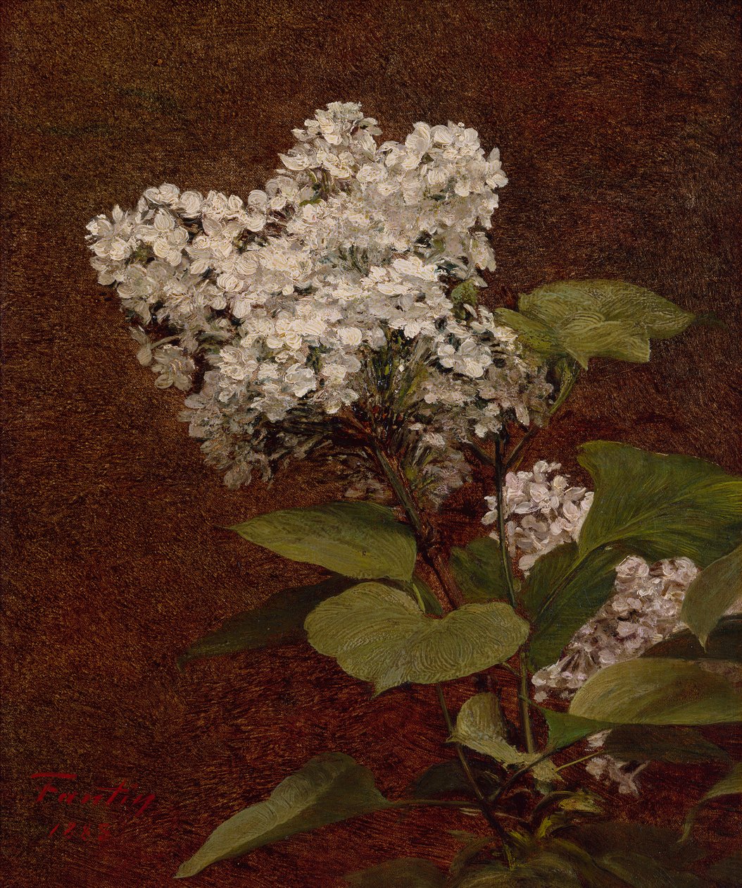 Weiße Flieder von Ignace Henri Jean Fantin Latour