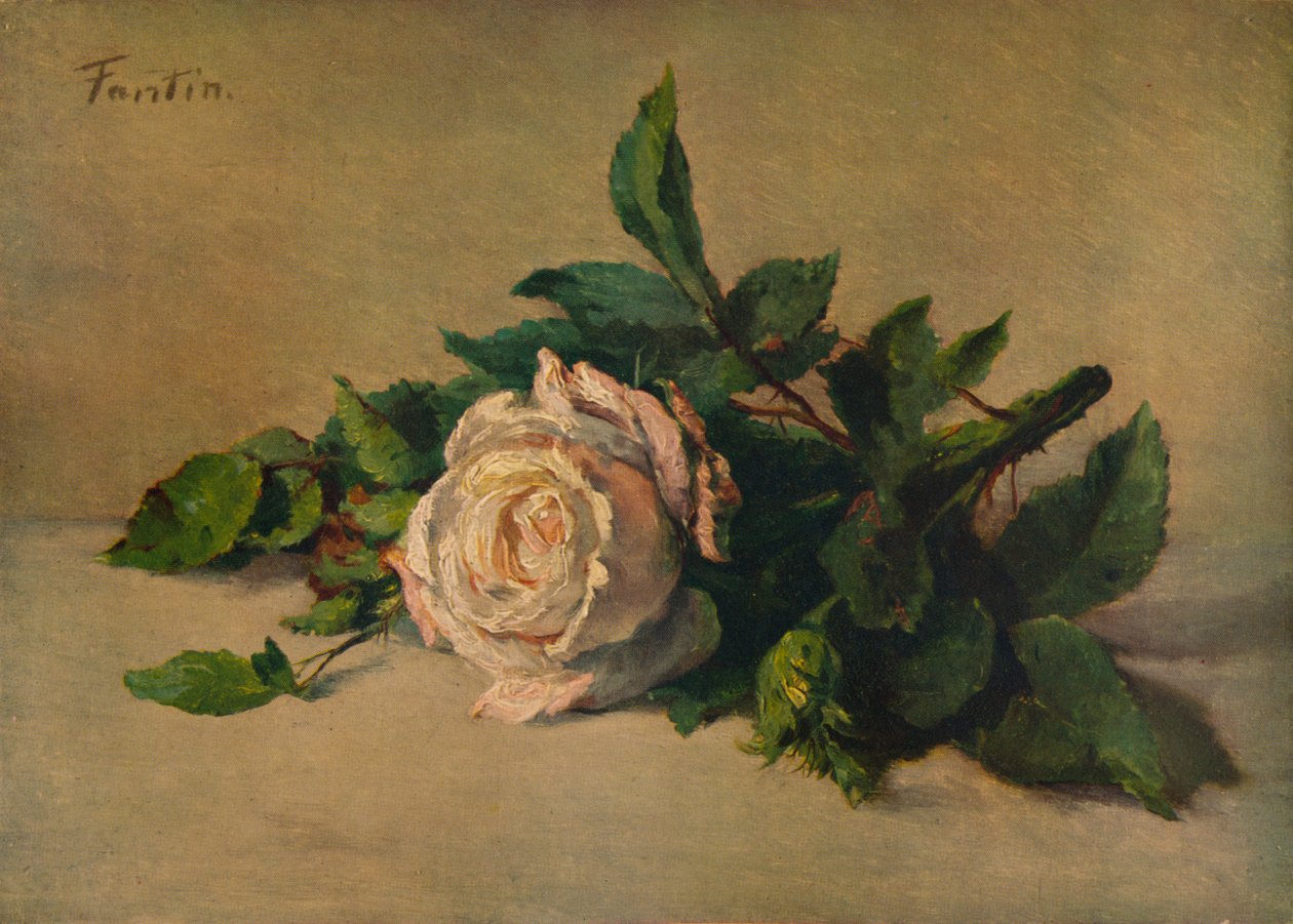Weiße Rose, um 1863, 1938 von Ignace Henri Jean Fantin Latour