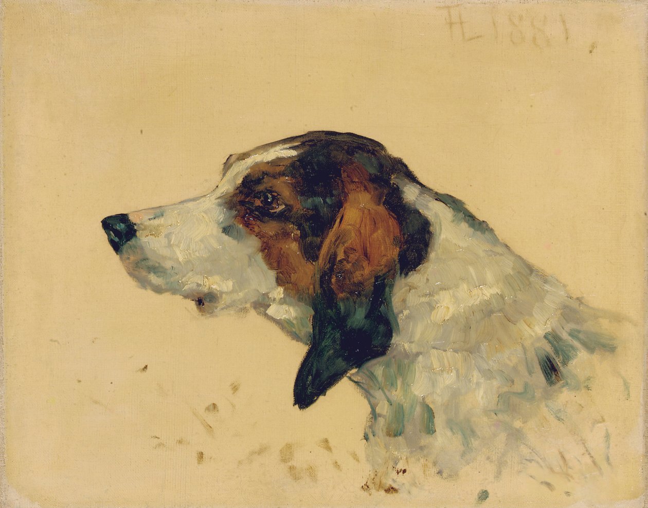 Jagdhund, 1881 von Henri de Toulouse Lautrec