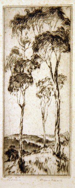 Gummibäume von Henri van Raalte