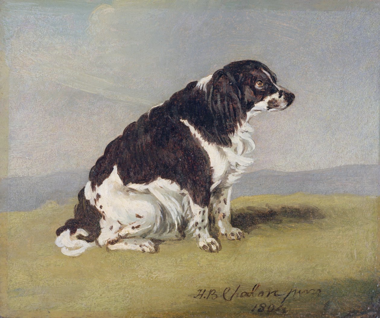 Der Spaniel der Herzogin von York, 1804 von Henry Bernard Chalon