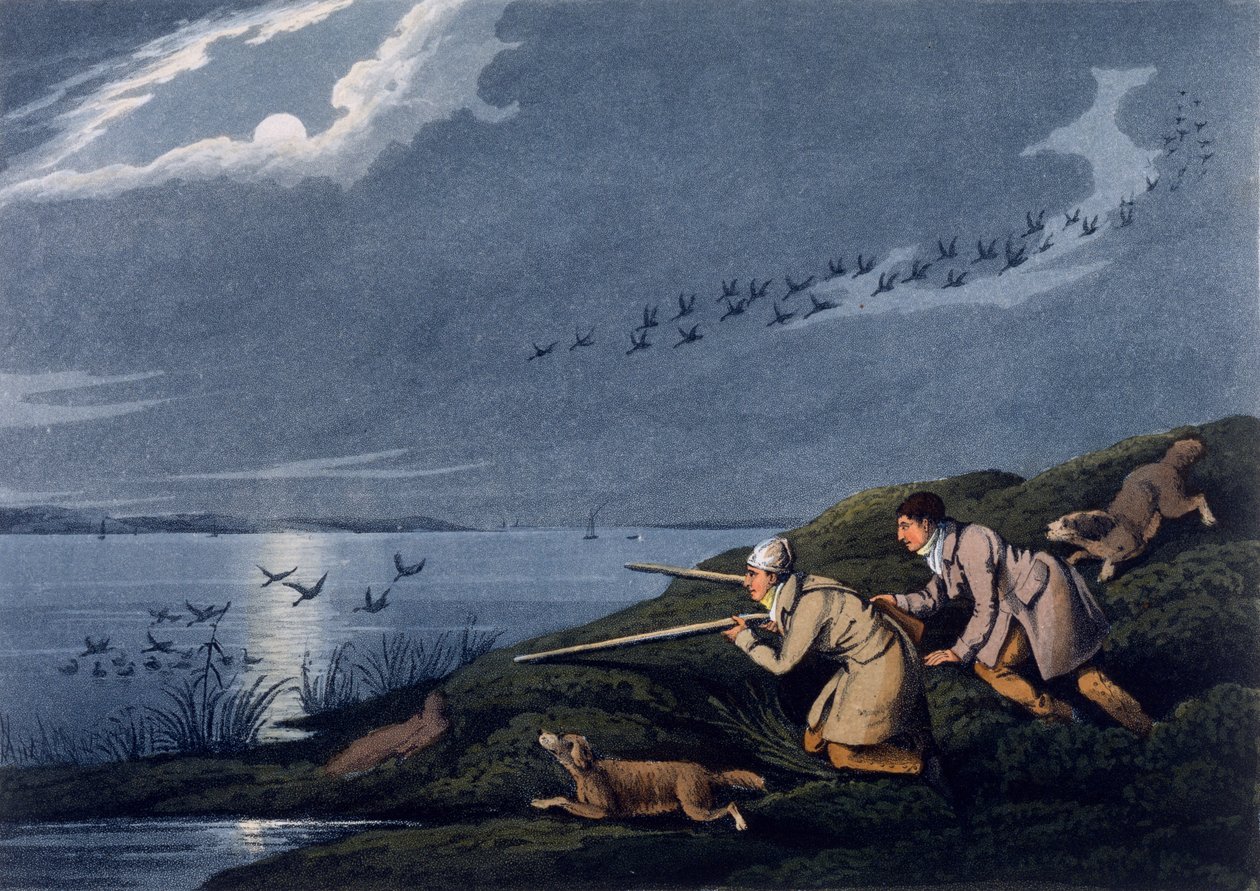 Wildgeflügeljagd, 1820 von Henry Thomas Alken