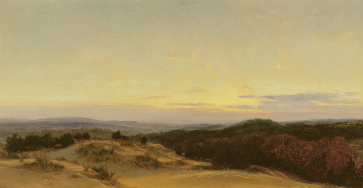 Sonnenuntergang über einer Landschaft von Henry William Banks Davis