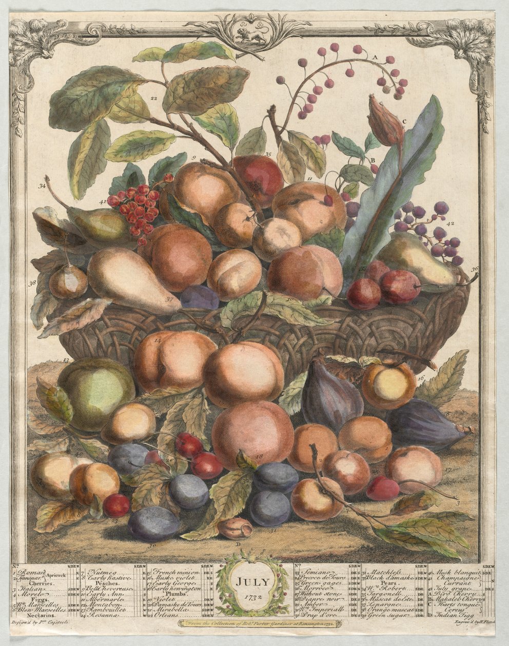 Zwölf Monate der Früchte: Juli von Henry Fletcher