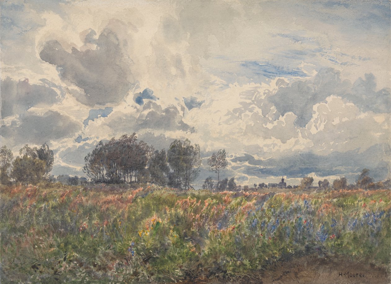 Regnerischer Juni, Picardie von Henry Moore
