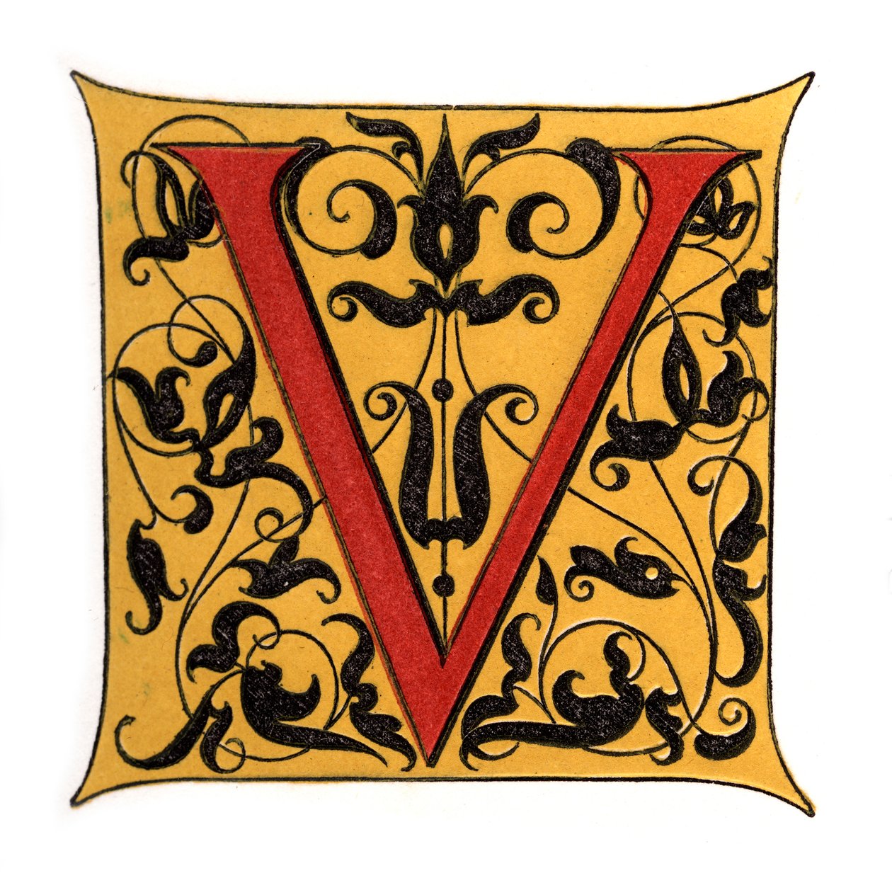 Initialbuchstabe V, 1843 von Henry Shaw