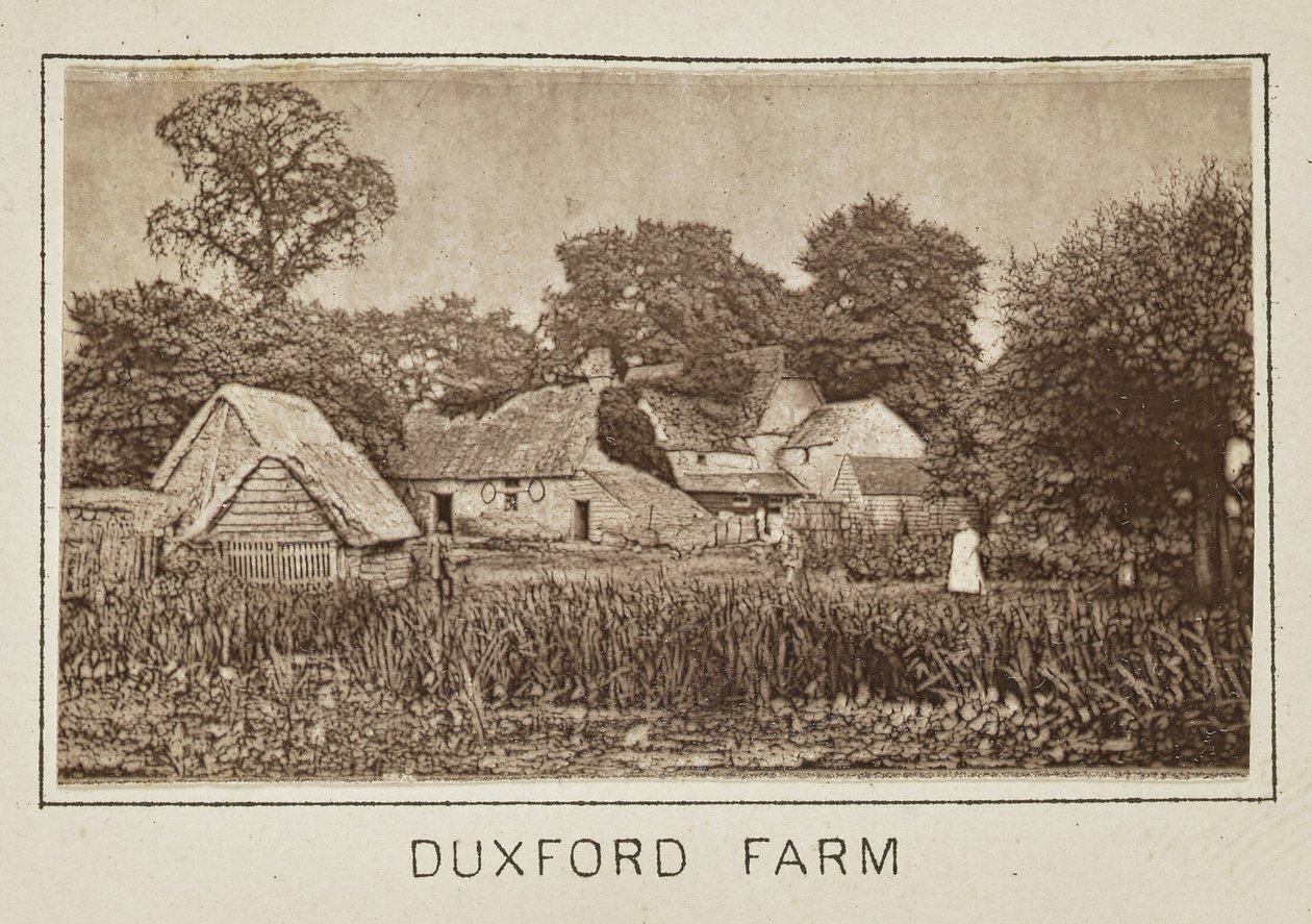 Duxford Farm von Henry W. Taunt