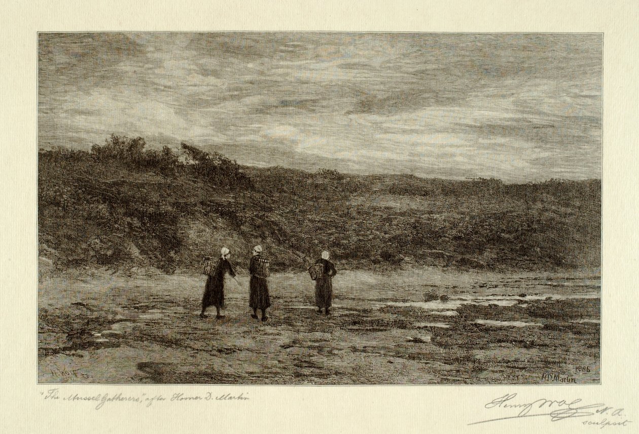 Muschelsammler von Henry Wolf